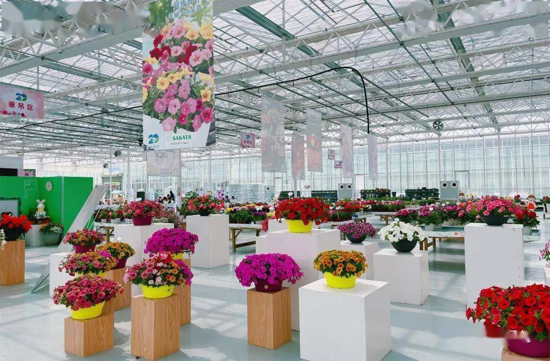 上海花港国际花艺节在崇明智慧生态花卉园开幕 | 动态_应用_活动