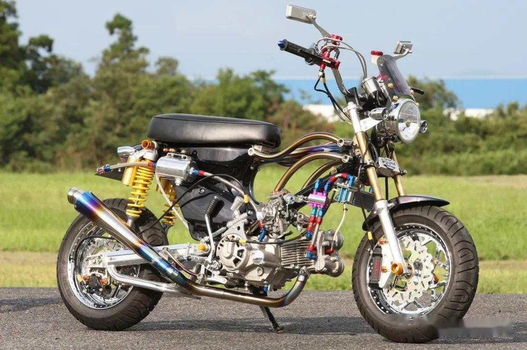 是幼兽,也不是幼兽:honda cub 125 | 每日一车_搜狐汽车_搜狐网