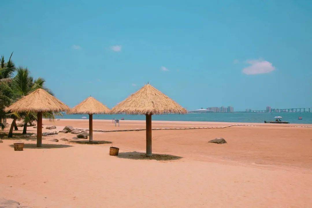 一半市井烟火,一半绝美海景,这个飘满果香的"过气网红"小城_湛江_马