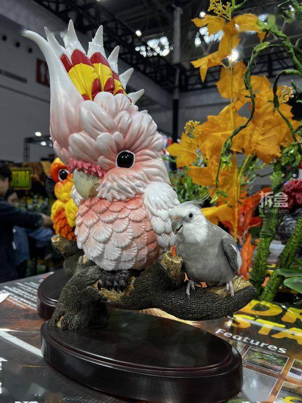 cg鹦鹉工作室 plus版群鹦荟萃 鹉鹦69丹巴原创鸟类手办_官方_限量