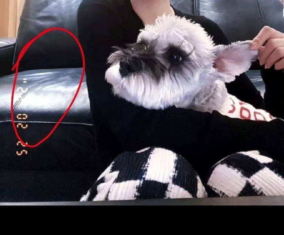 真假不知,但这回确实是真顶流…_蔡徐坤_莫小棋_行程