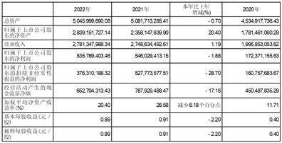 山东玻纤集团股份有限公司2022年度陈述摘要