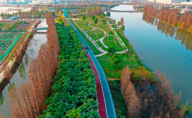 江门礼乐湿地公园图片