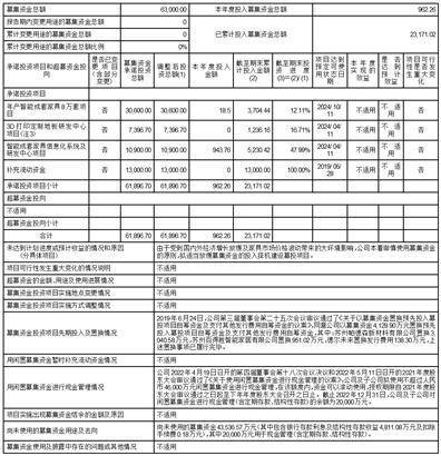 德尔将来科技控股集团股份有限公司 关于募集资金2022年度 存放与利用情况的专项陈述