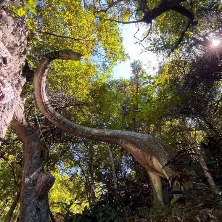 2m以下),玩转野山谷!_景区_安溪_隧道