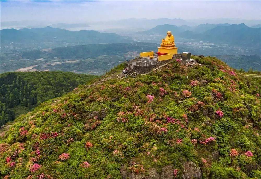 『杜鹃谷』4月22日 ,5月1日 徒步奉化金峨山,穿越壮丽杜鹃花谷,惊艳