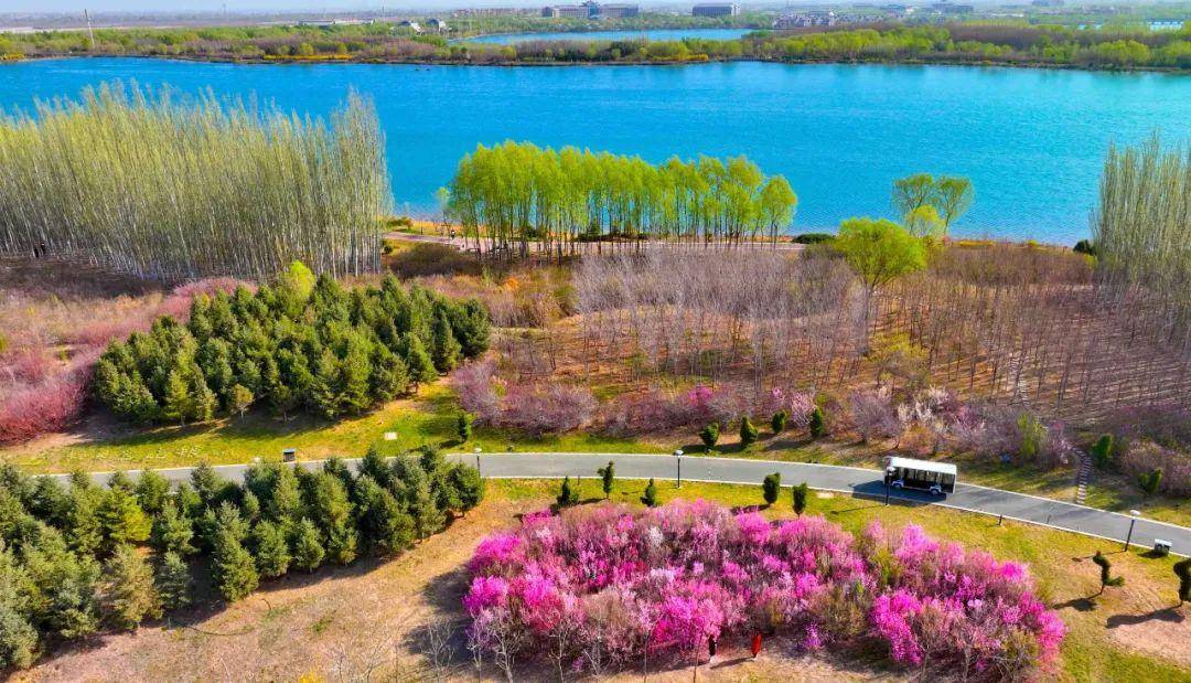 生,面积约4500亩,被喻为张掖城市"后花园"和"加湿器"的芦水湾生态景区