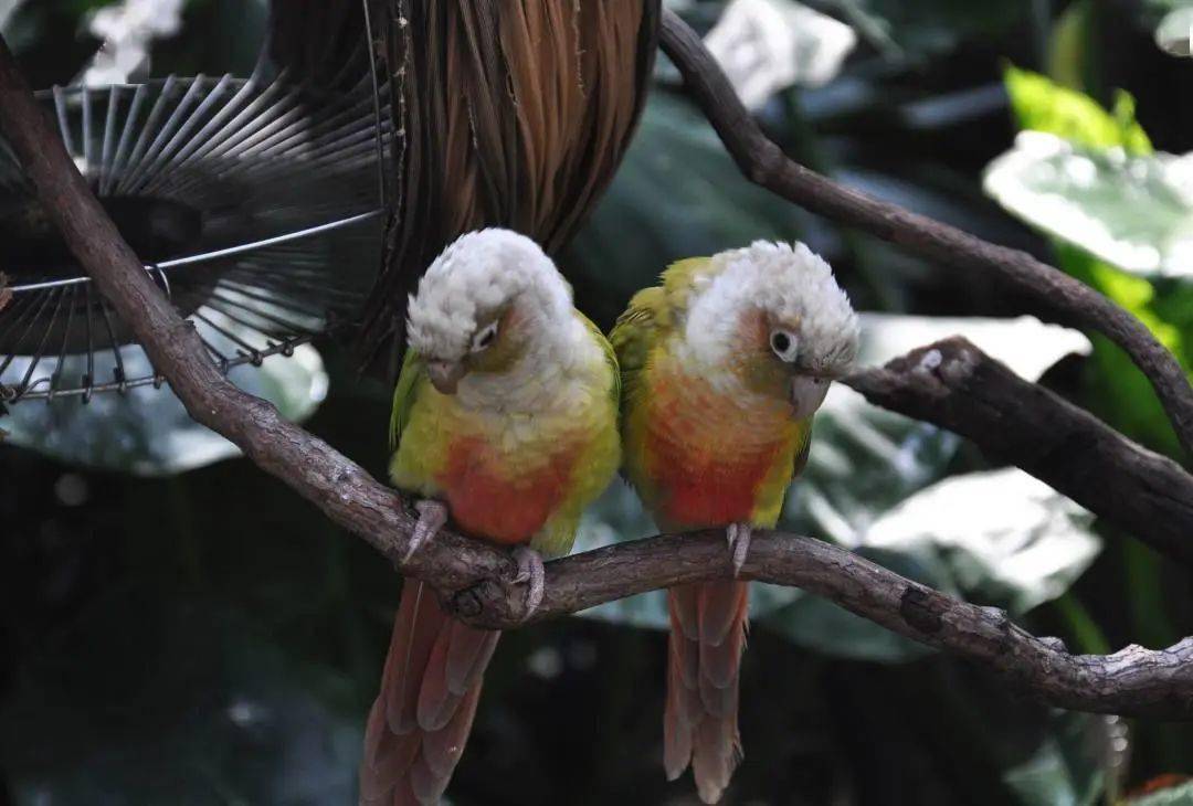 班 张兆辉 《行走的面具》八年级10班 刘雅涵 《凝》八年级9班 李亚蓉