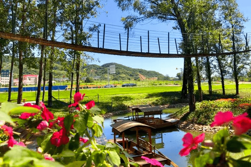 喜讯|石家庄灵寿花溪谷树桥公园通过省文旅厅4a级旅游景区景观质量