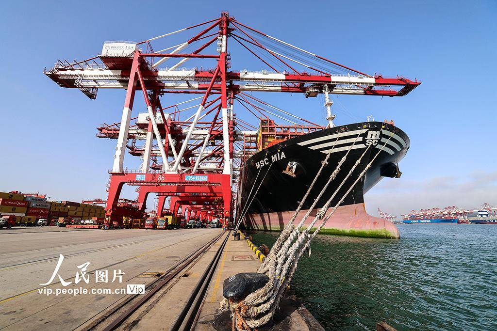 山东港口青岛港前湾集装箱码头:集装箱装卸繁忙有序_建设_服务_图片
