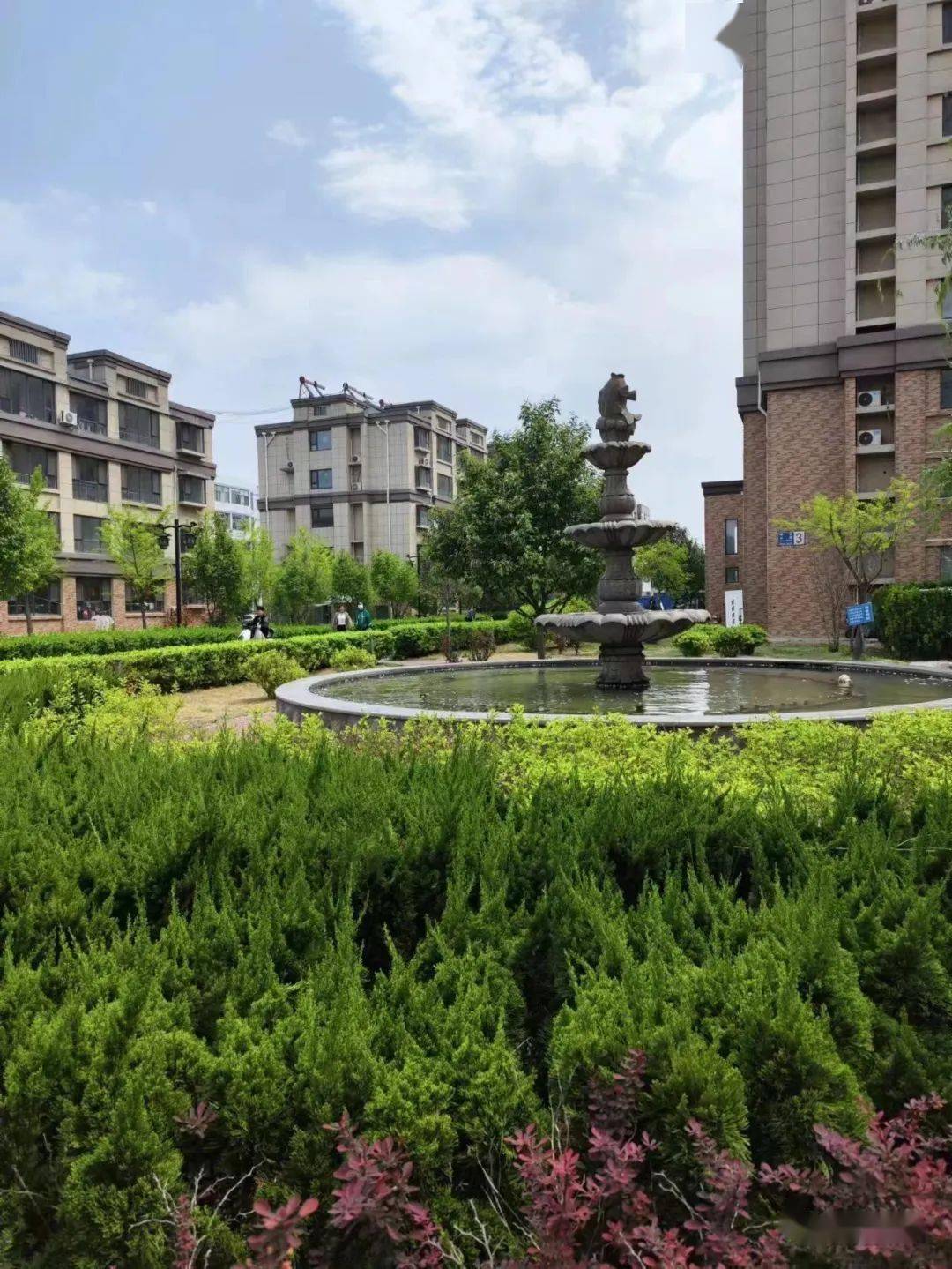 沂源还有6000多一平的高端住宅?