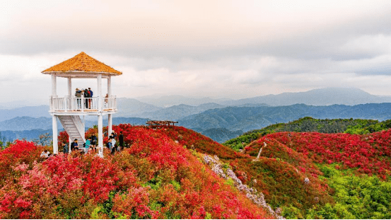 还有大礼包免费送哦~_广寒寨_活动_时间