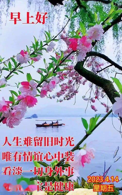 502_800竖版 竖屏