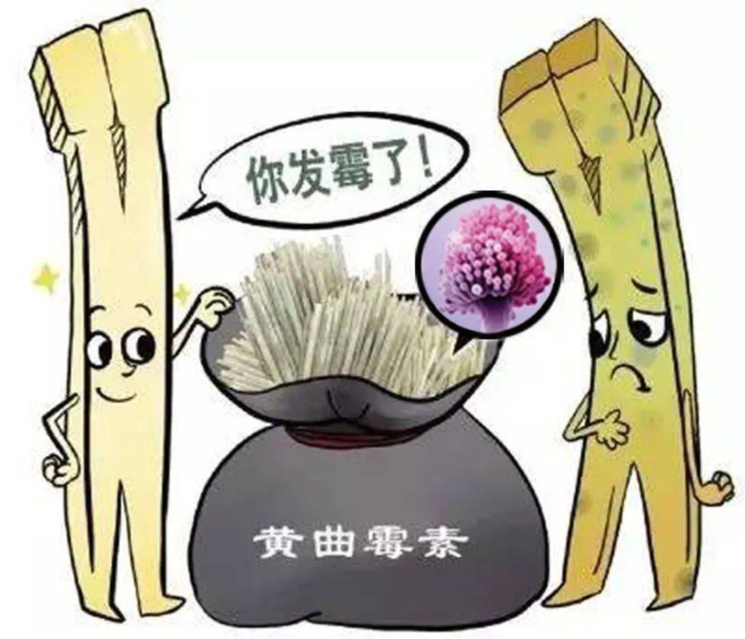 黄曲霉毒素,一级致癌物!_案板_清洗_筷子
