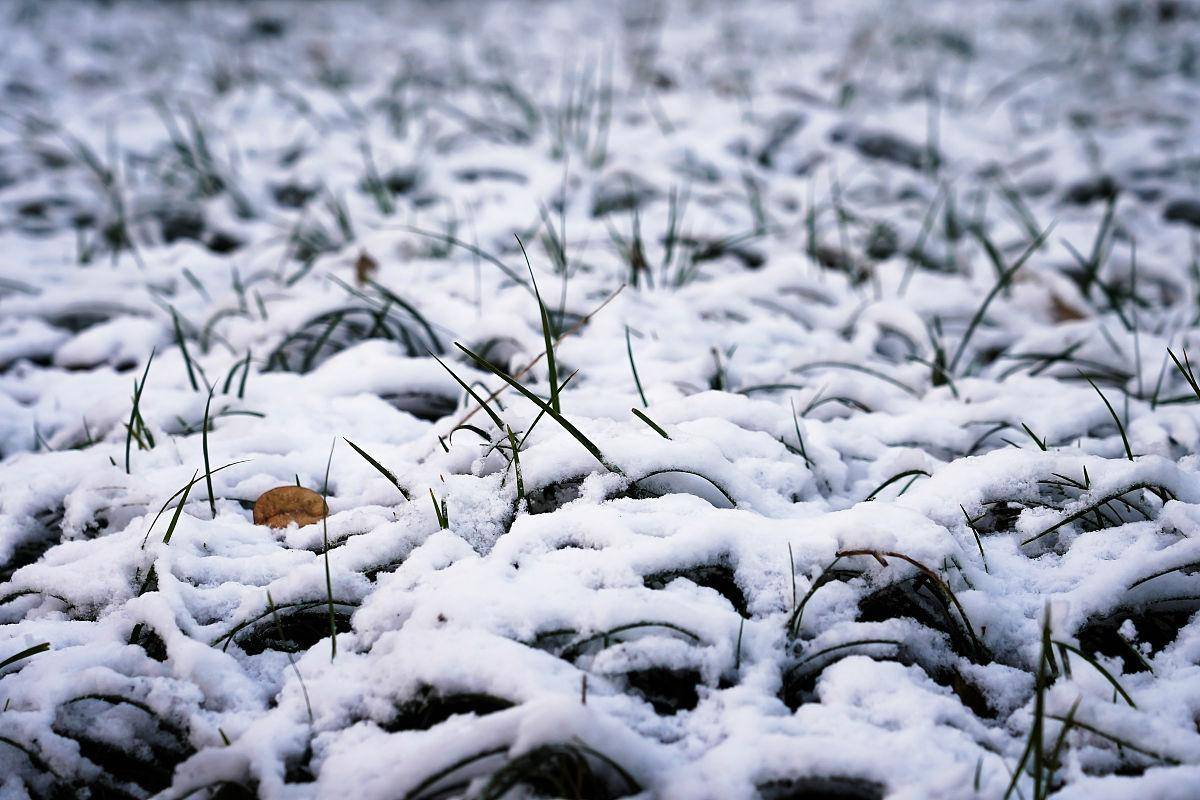 北方出现大范围雨雪,局地大暴雪,会对农业生产带来那