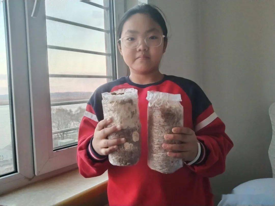 【兆麟劳动】我与菌菇共成长--兆麟小学劳动实践教育之蘑菇种植活动