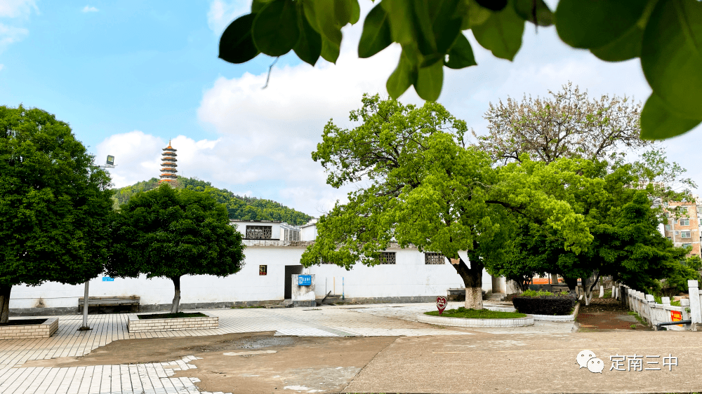 4月23日世界读书日|畅享书香韵味 遇见最美自己 ——定南三中开展校园