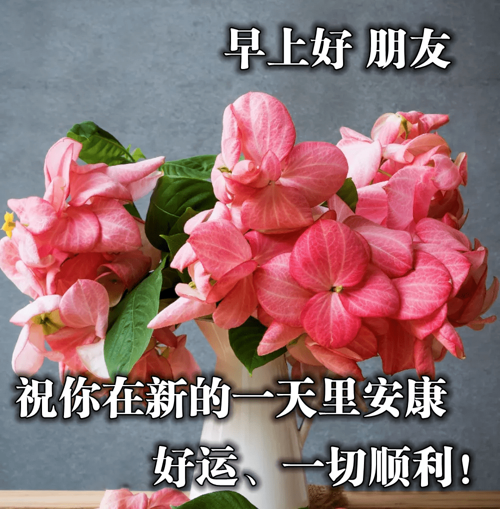 4月24日早上好短語句子,祝福問候,開心幸福_朋友_平安_夢想