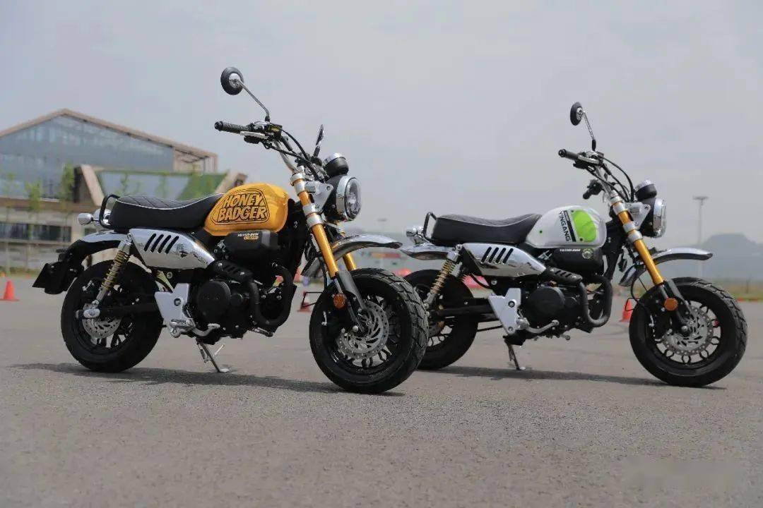 9980元起,银钢发布最新mini车型:蜜獾150_搜狐汽车_搜狐网