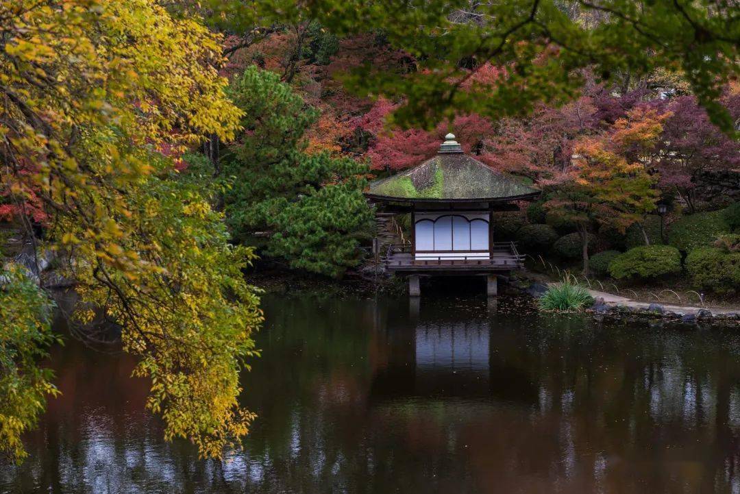 东方日式庭院设计,源于中国的空间美韵_景观_自然_园林