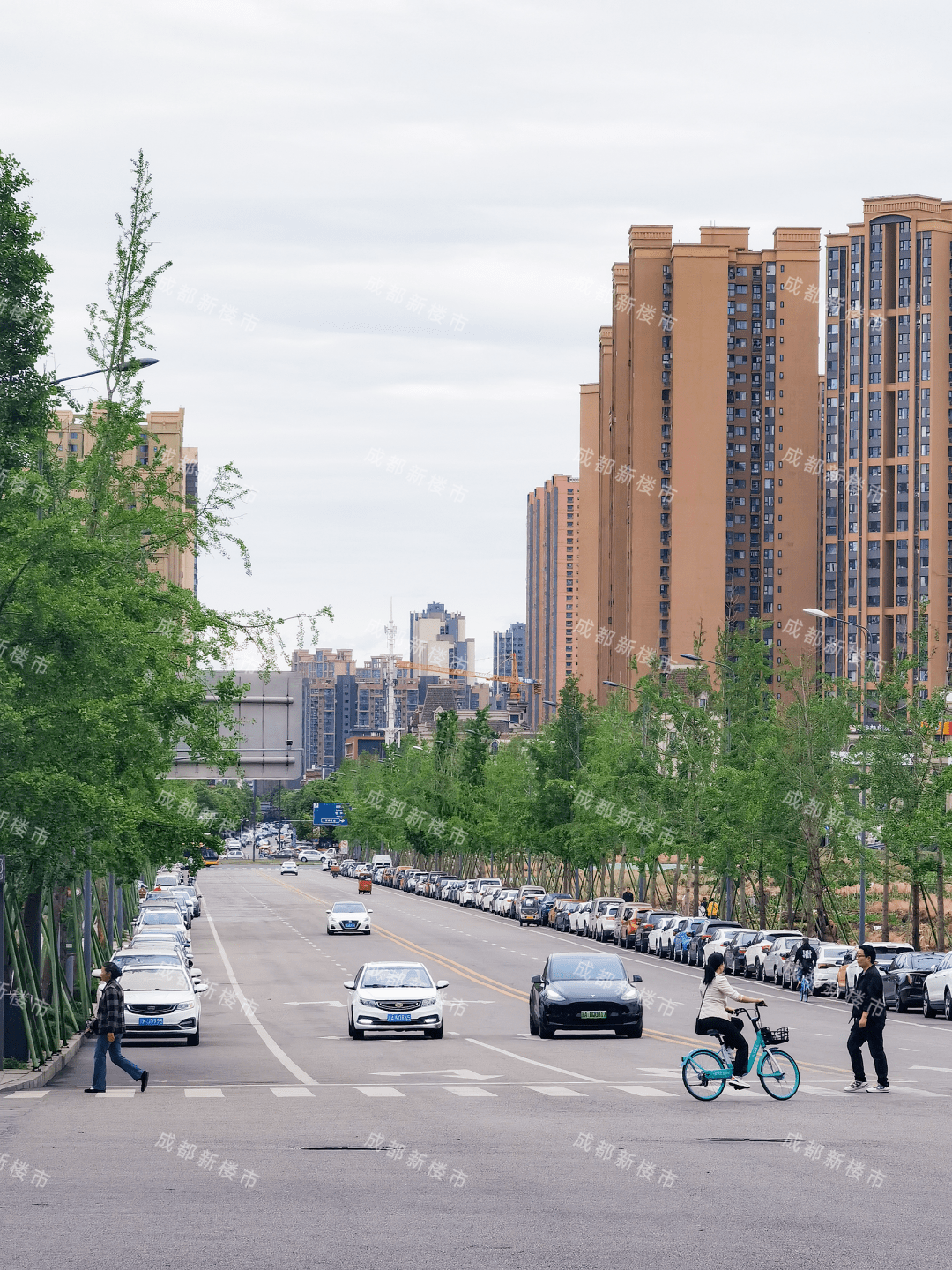 龍泉驛區十陵街道三環路以東,靈瑞二街以北宗地編號:lq34(252):2022