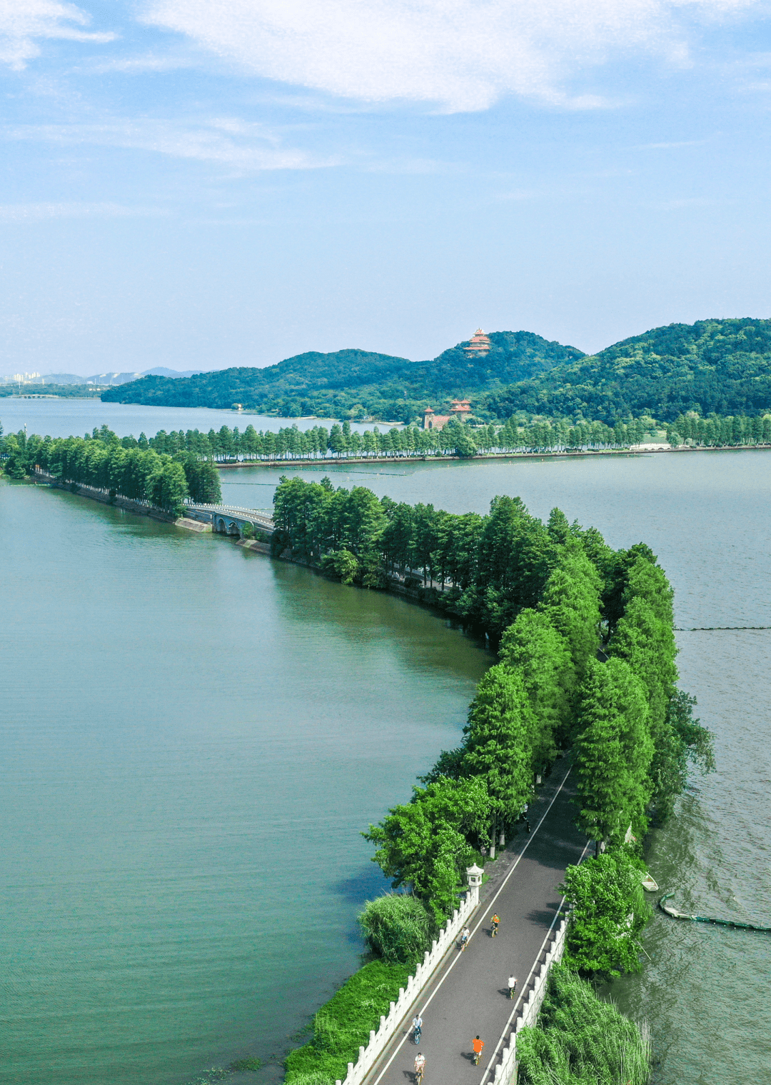 肇庆市东湖公园全景图图片