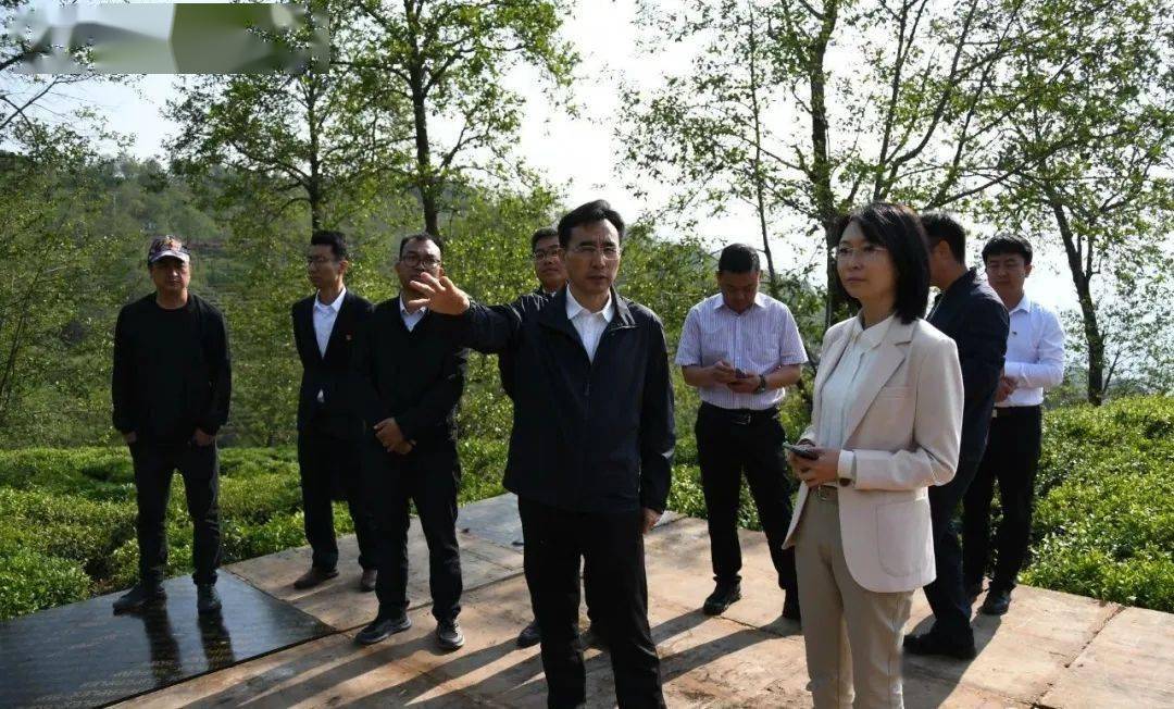 到公郎镇调研时要求,展示好"美丽茶区,幸福茶农"_茶文化_旅游节_南涧