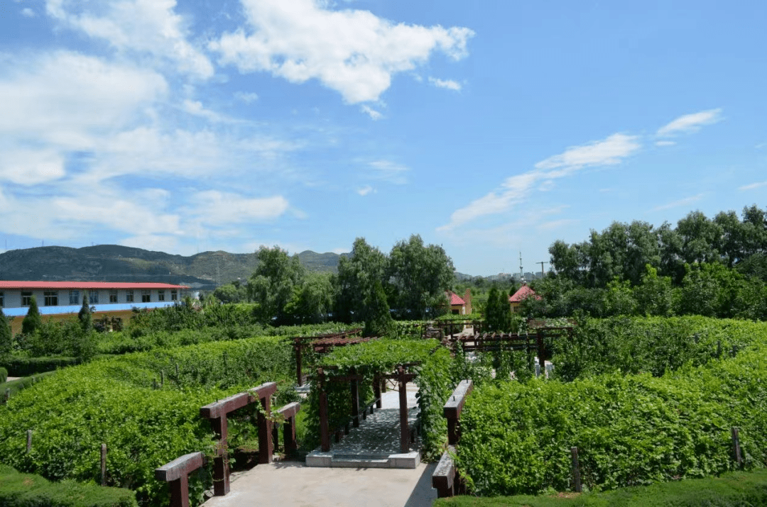 山西美麗鄉村休閒旅遊行(春季)精品景點線路推介活動在高平市舉辦