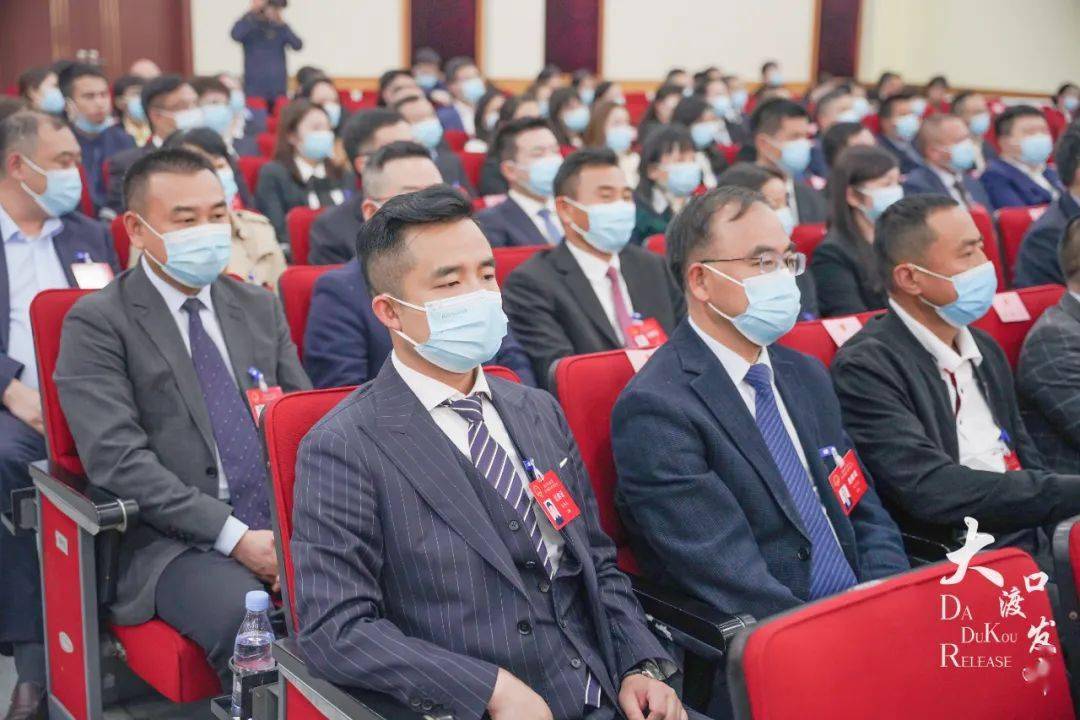 重庆市大渡口区第十四届人民代表大会第三次会议胜利闭幕