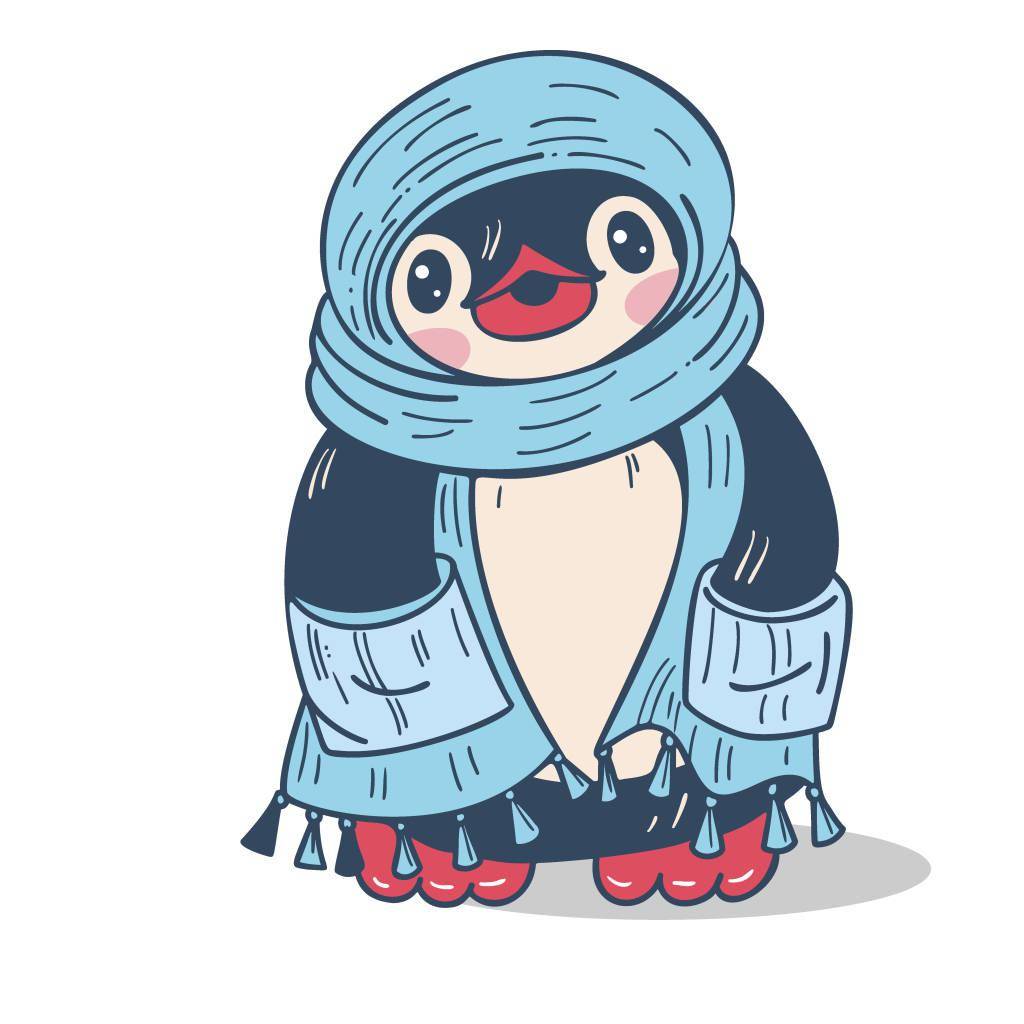 企鹅的羽毛是黑白相间的,像极了穿着正装的绅士.董迎春/视觉中国