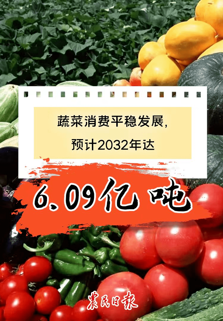 PG电子 PG电子平台官方发布未来10年中国主要农产品供需形势→(图6)