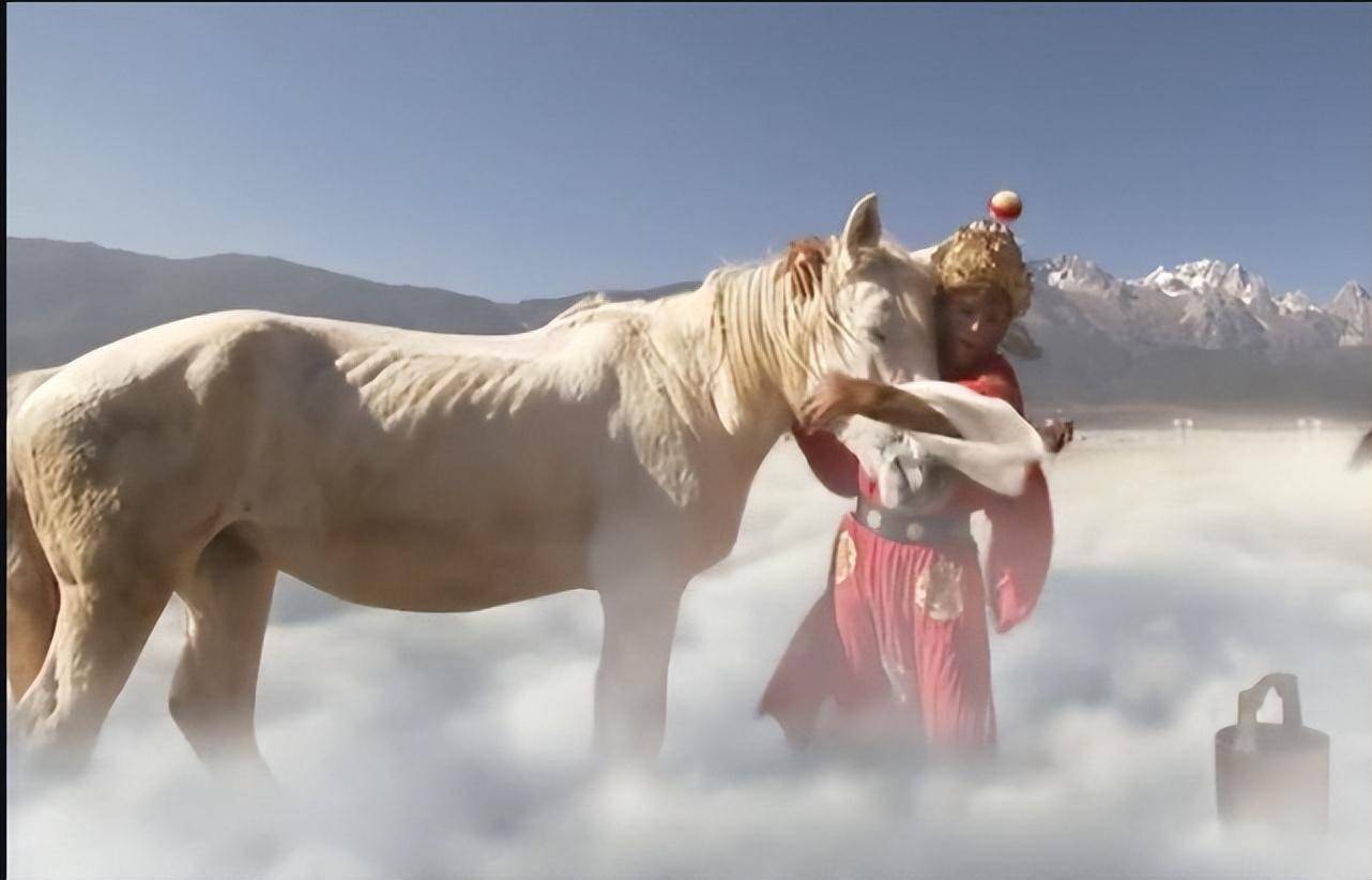 弼马温明明很努力,为啥不得升职加薪?