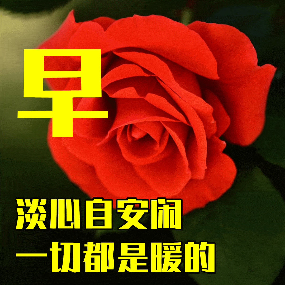 4月26日最漂亮早上好动态表情图片大全,早晨好动图美图大全_祝福_问候