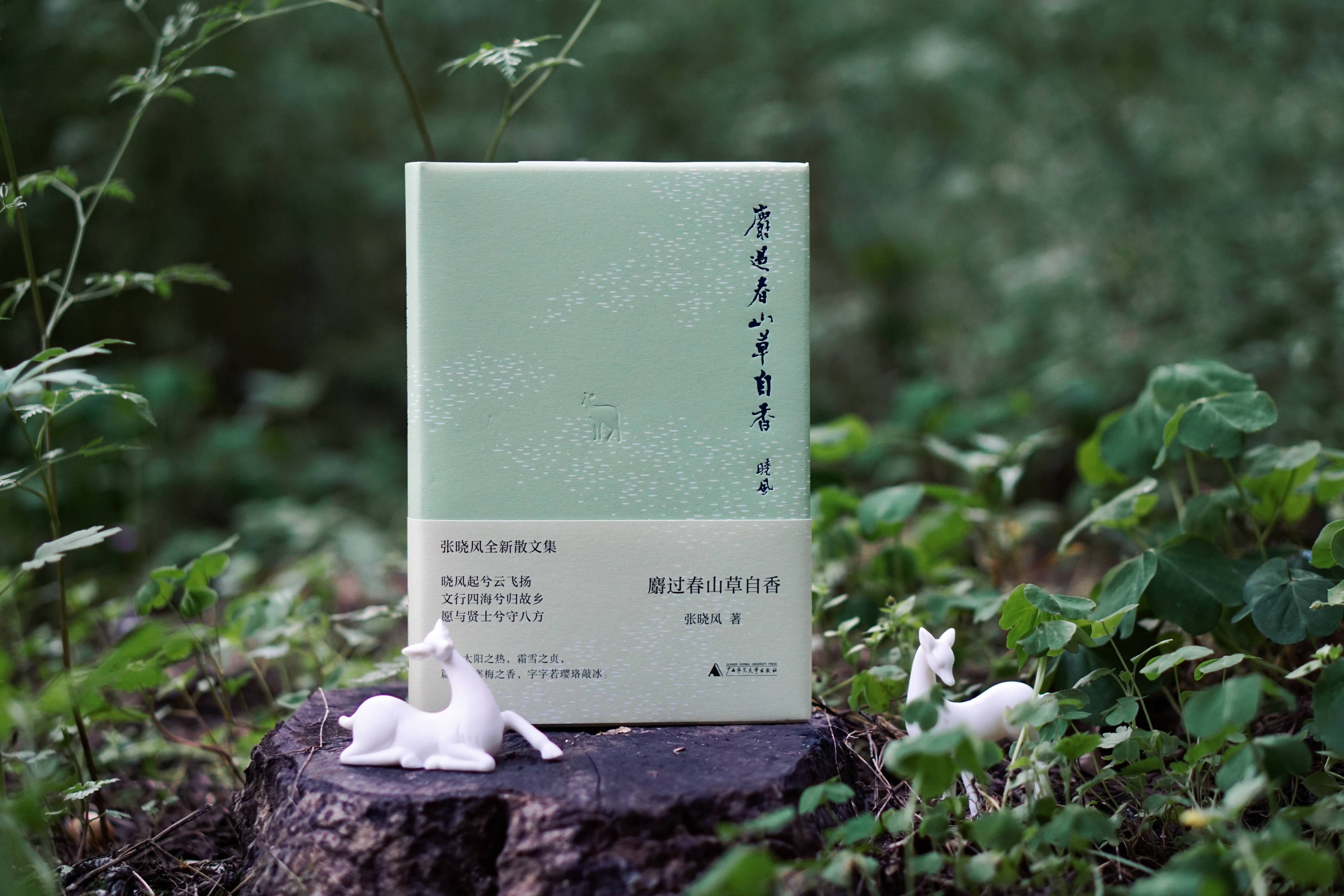 助你度过愉快的观影时光