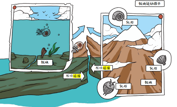 这种互相挤碰的运动,就是板块运动你碰碰我,我碰碰你就这样,大陆和