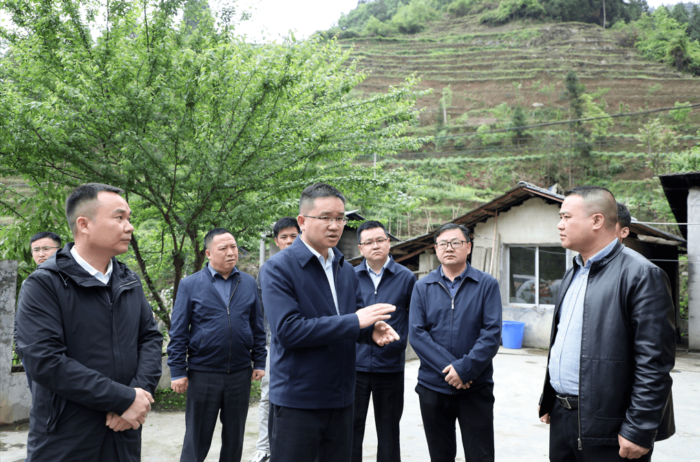 曾建祥到部分乡镇开展调研