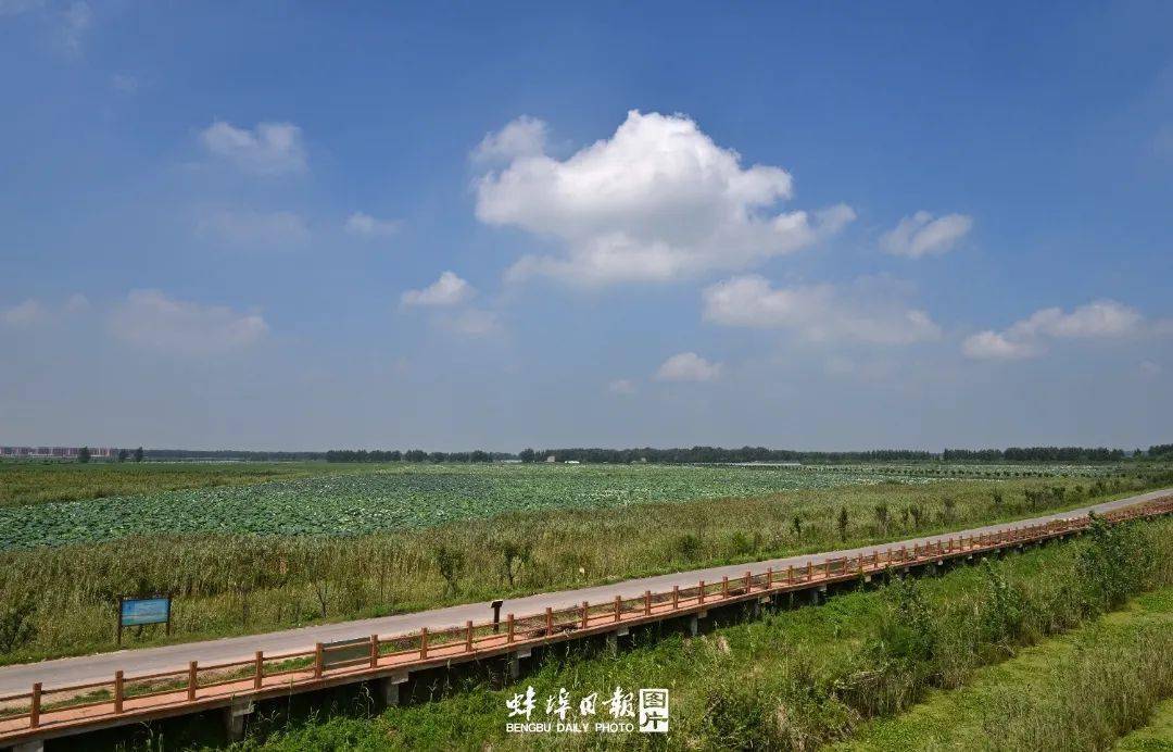 谷陽城遺址公園(櫻花園)→津浦鐵路固鎮站遺址公園下午大崗民宿午餐