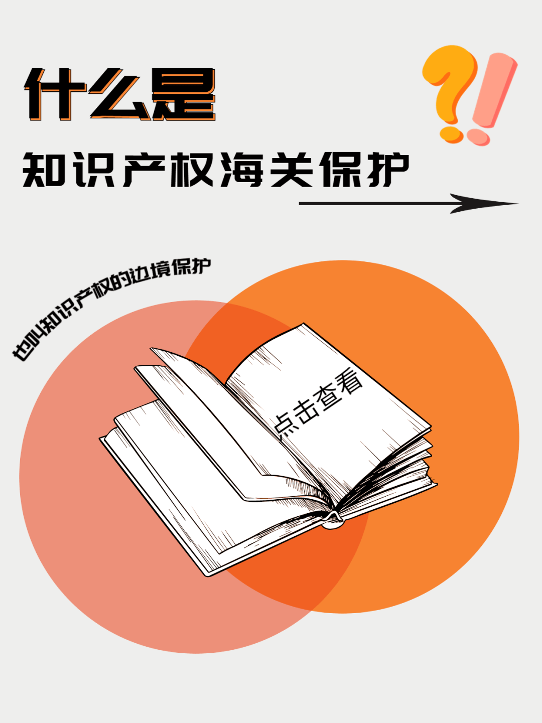 知识产权海关保护条例_海关产权条例知识保护内容_海关产权条例知识保护规则