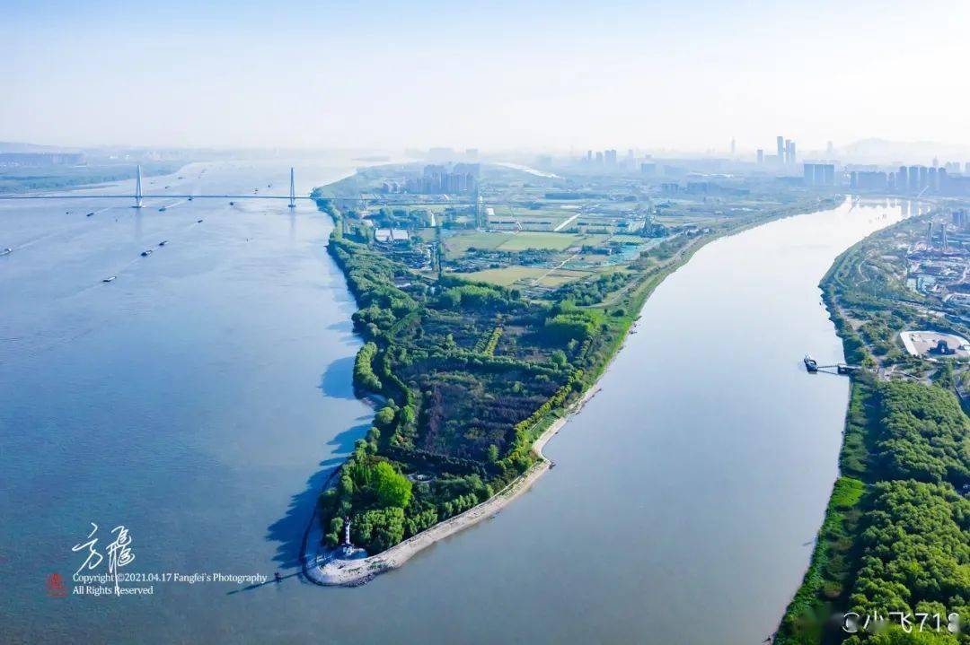 南京志愿者踊跃参加水环境保护志愿活动_江豚_长江_服务