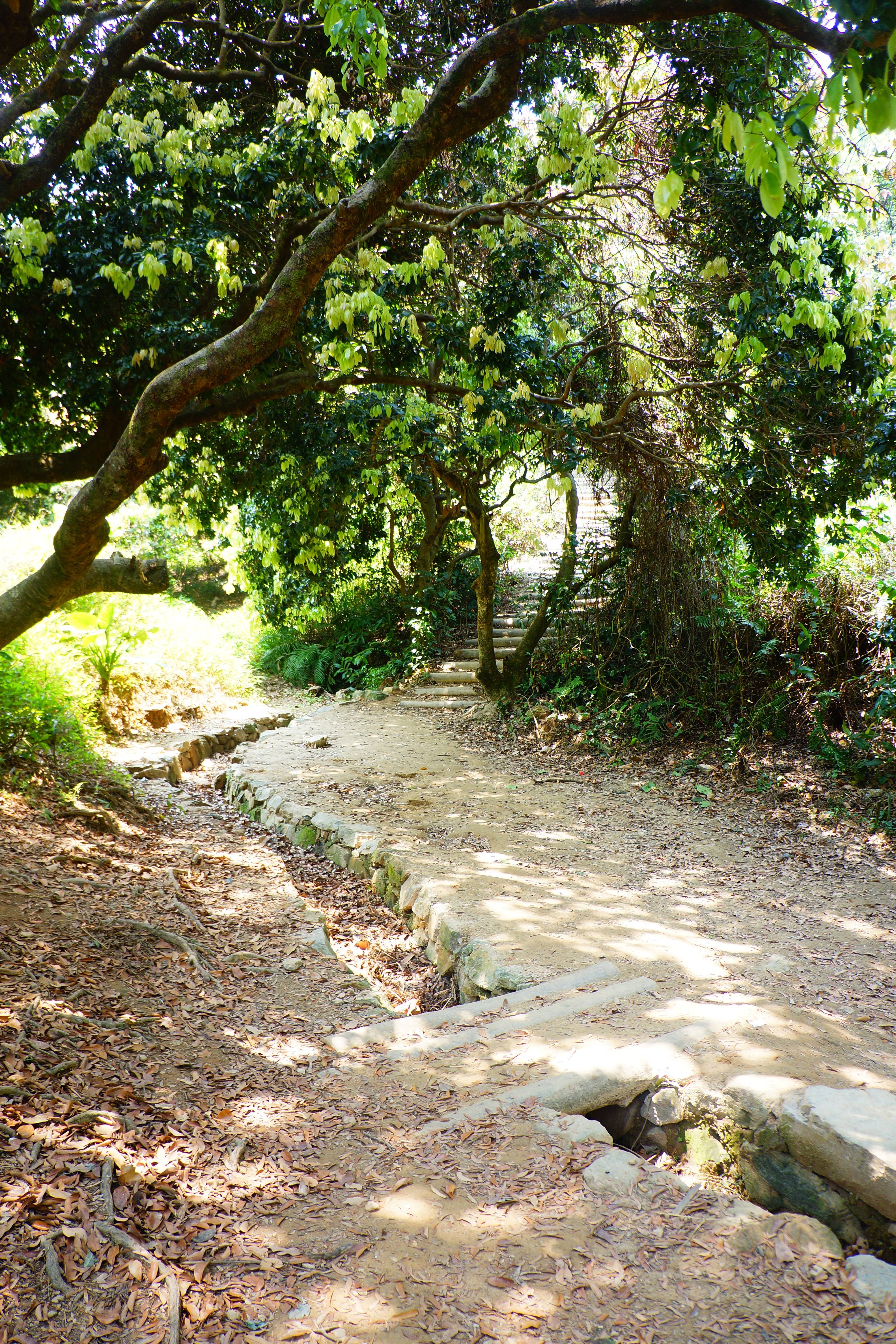 1公里,包括遠足徑(泥崗連接段,布心山段,深圳水庫段),銀湖山郊野徑