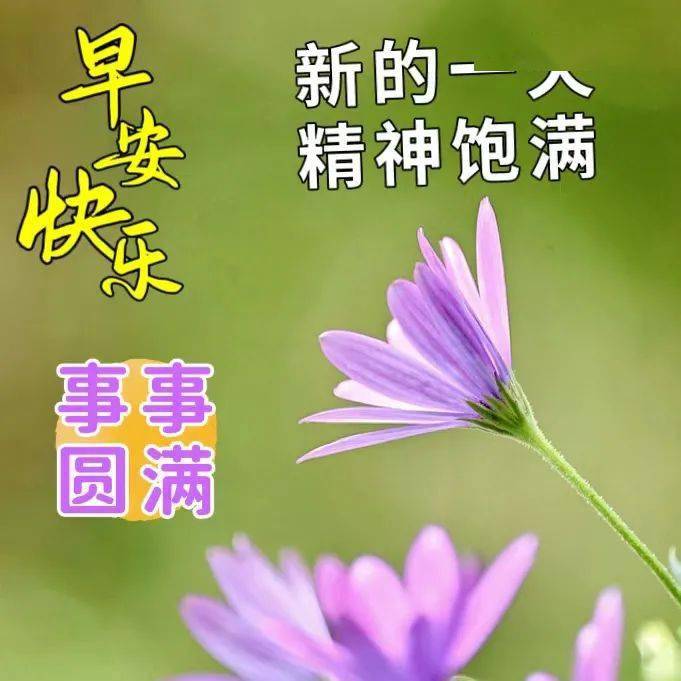 今日最新早安祝福圖片大全,無限祝福,吉祥如意_朋友_問候_好運