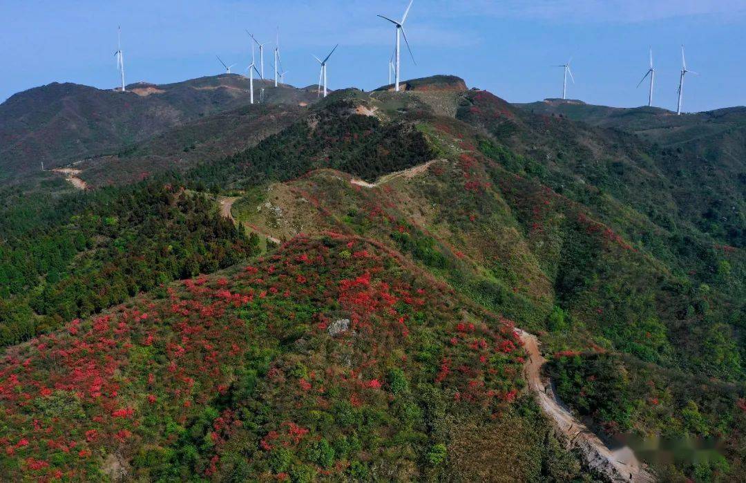 常宁塔山风景区自驾游图片