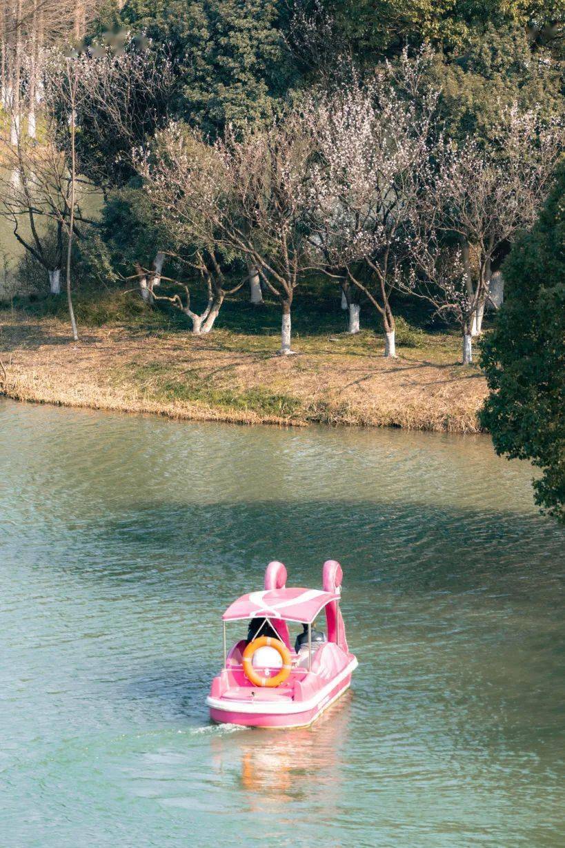 摄影:张芝彬地铁出行路线2号线至青枫公园站5b口出,步行约200米.