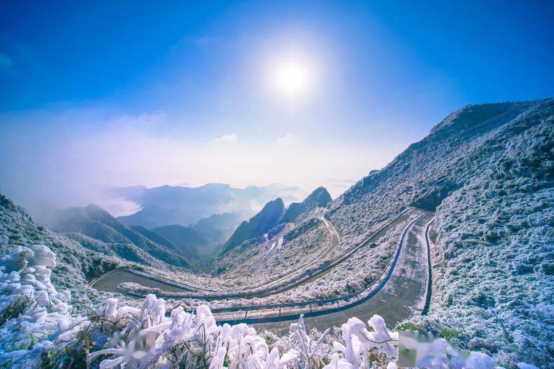 这个五一,咱们去"云端花园"川河盖旅游度假区踏春吧!_星空_自然_花海