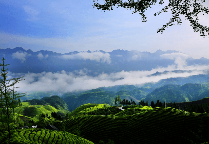 鹤峰美景出深山,齐聚江岸入画来_帮扶_相关_宣传