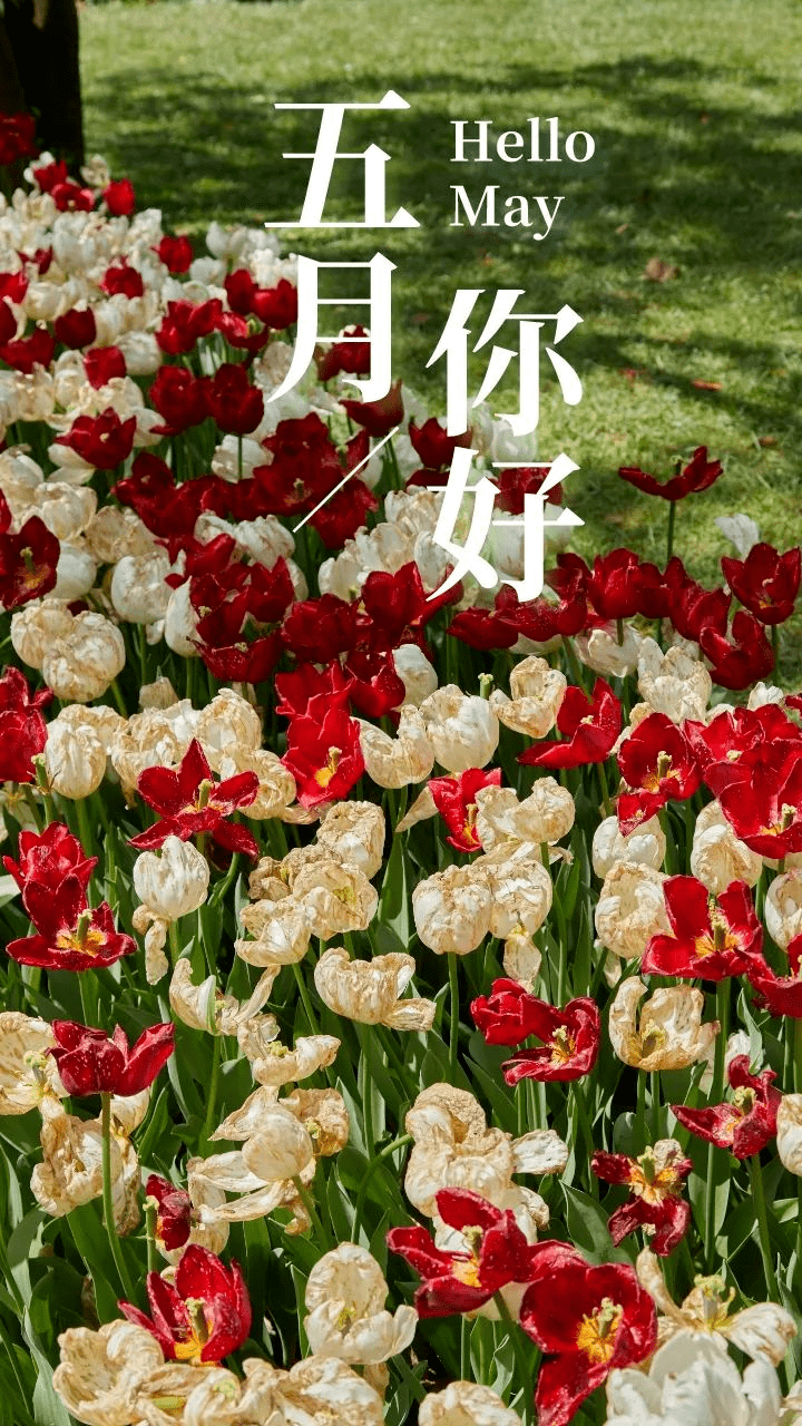 5月1号早上好图片图片