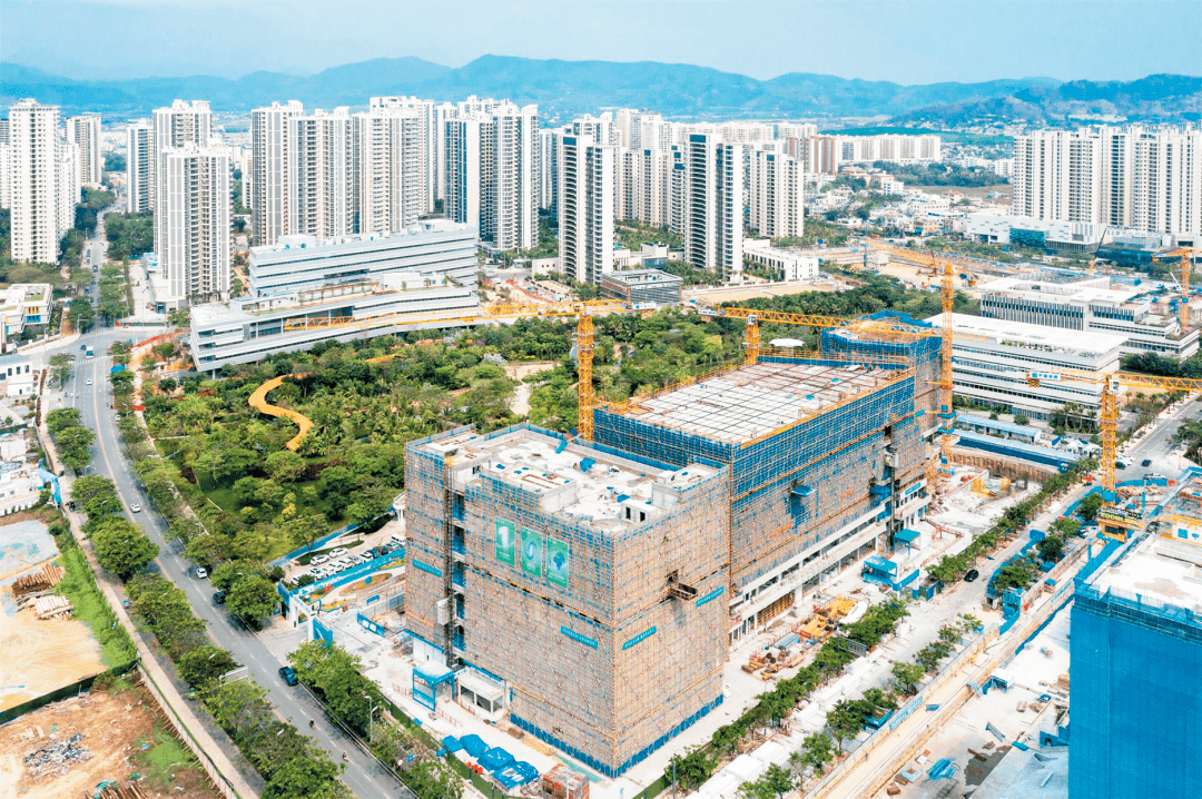 这届年轻人,就是这么young!_建设_海南_团队
