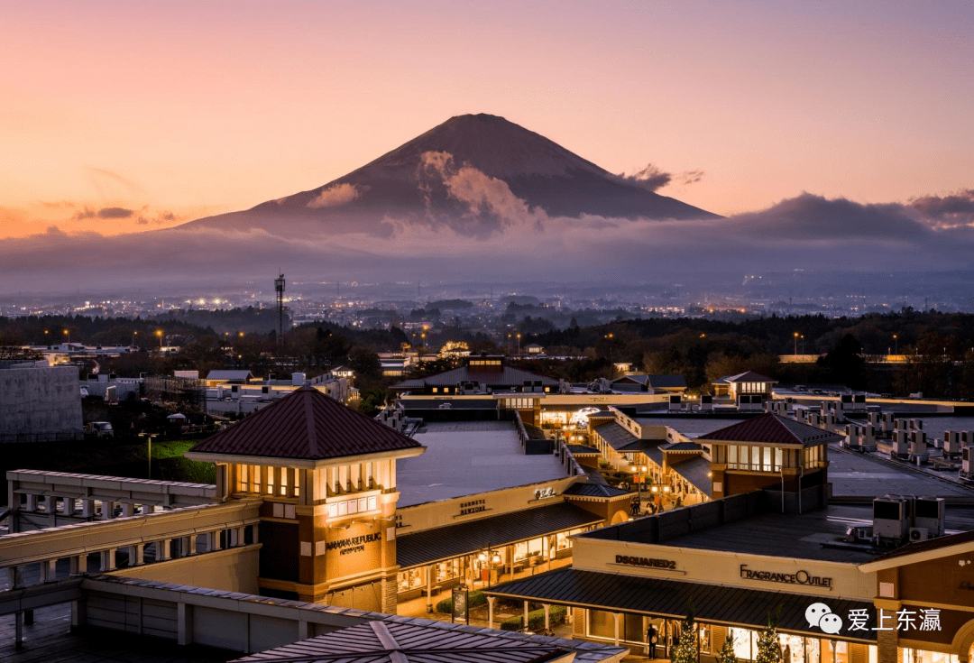 99下吉田网红地打卡99花之都公园99环富士山一日游～3800日元起