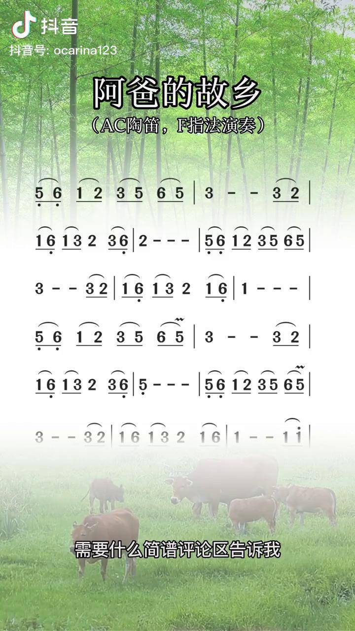 阿爸的故乡,陶笛动态简谱动态谱