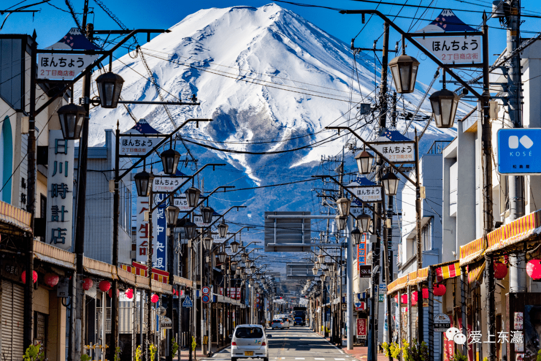 99下吉田网红地打卡99花之都公园99环富士山一日游～3800日元起